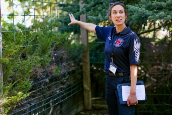 Boulder Boosts Wildfire Resilience with $2,000 Grants for Homeowners via WRAP Initiative