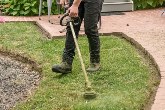 Brentwood Gardener Assaulted by Man Over Lawn Tool Noise, Community Frustrated with Local Squatting Issues