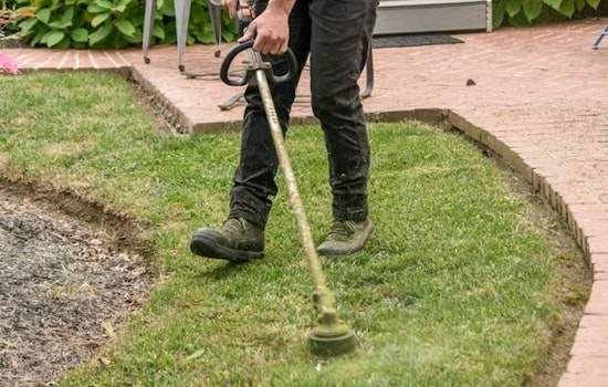 Brentwood Gardener Assaulted by Man Over Lawn Tool Noise, Community Frustrated with Local Squatting Issues