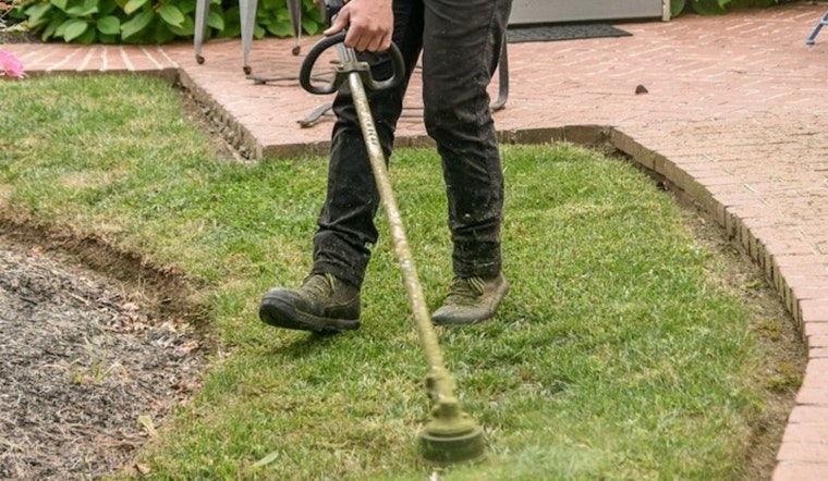 Brentwood Gardener Assaulted by Man Over Lawn Tool Noise, Community Frustrated with Local Squatting Issues