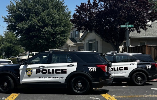 Brentwood Police Apprehend Teen Suspects After Vehicle Chase and Manhunt in Residential Area