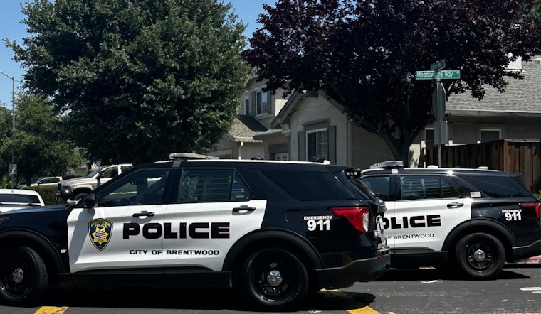 Brentwood Police Apprehend Teen Suspects After Vehicle Chase and Manhunt in Residential Area