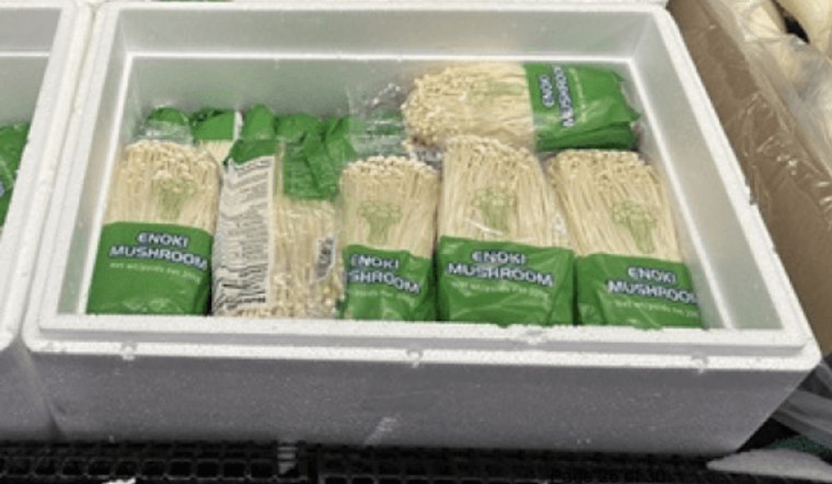 Brooklyn's Hofood99 Inc. Initiates Nationwide Recall of Enoki Mushrooms Over Listeria Contamination Fears