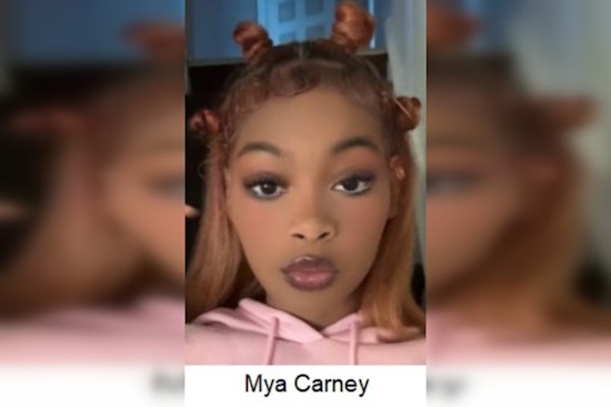 Camden County Police Seek Public's Help Locating Missing Woman Mya Carney