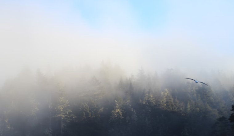 Canadian Wildfires Cast Hazy Skies Over Massachusetts Amid Heatwave Concerns