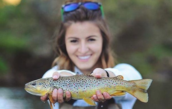 Cast Away for Free: Colorado Parks and Wildlife Announces Free Fishing Weekend Across the State