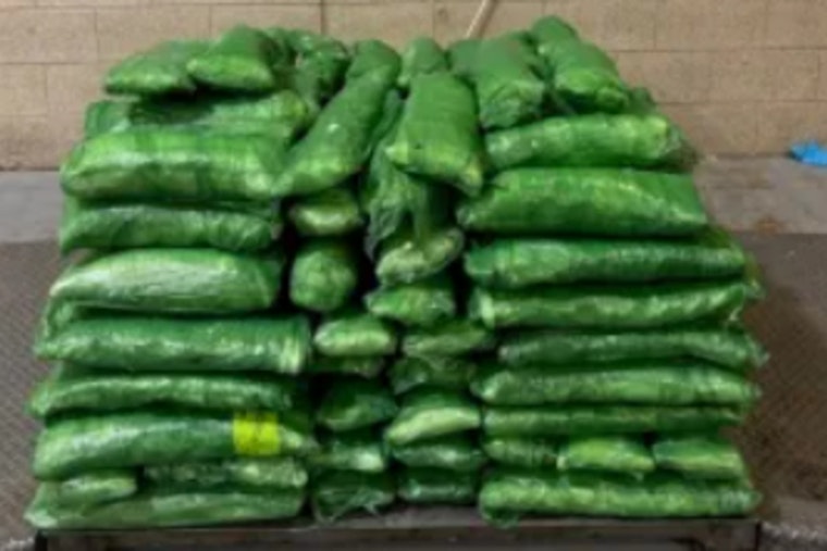 CBP Officers Intercept $6.7 Million Meth Shipment Concealed in Tomatillos at Pharr International Bridge