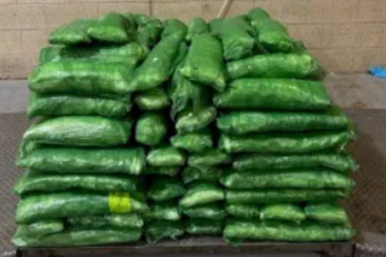 CBP Officers Intercept $6.7 Million Meth Shipment Concealed in Tomatillos at Pharr International Bridge