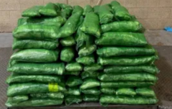 CBP Officers Intercept $6.7 Million Meth Shipment Concealed in Tomatillos at Pharr International Bridge