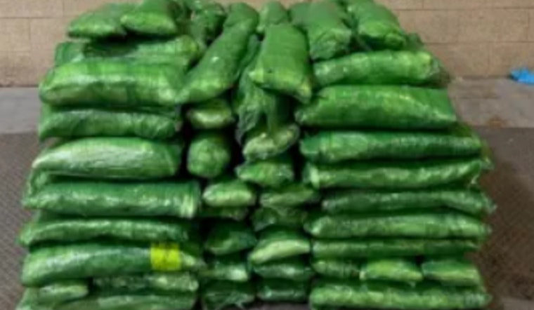 CBP Officers Intercept $6.7 Million Meth Shipment Concealed in Tomatillos at Pharr International Bridge