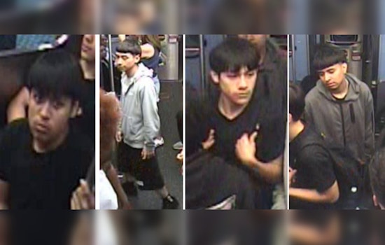 Chicago Police Seek Public's Help Identifying Suspects in Wrigleyville Shooting Incident