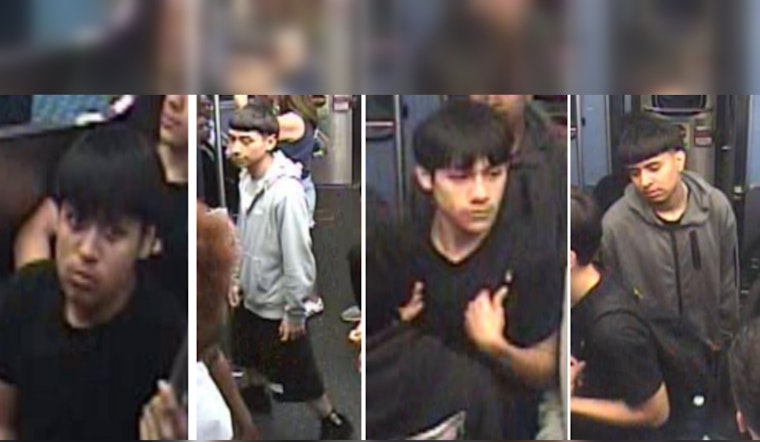 Chicago Police Seek Public's Help Identifying Suspects in Wrigleyville Shooting Incident