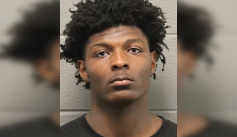 Chicago Teen Charged with Aggravated Vehicular Hijacking Involving Handicapped Victim