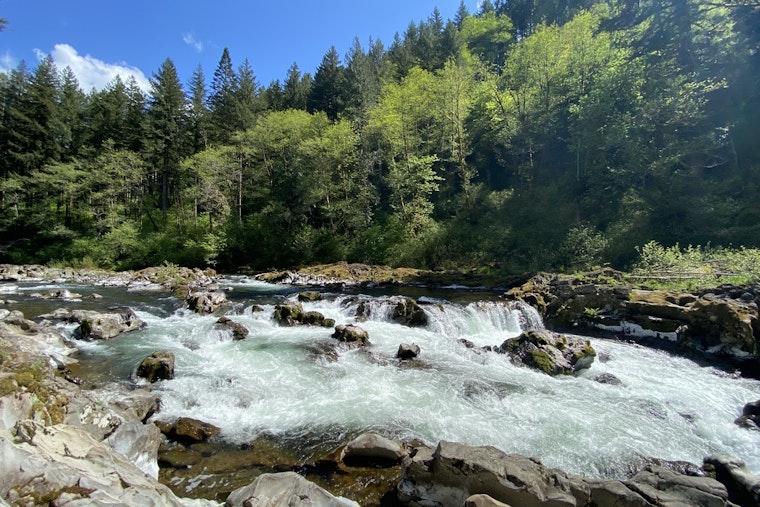 Clark County Seeks Volunteer Park Host for Moulton Falls Regional Park in Yacolt