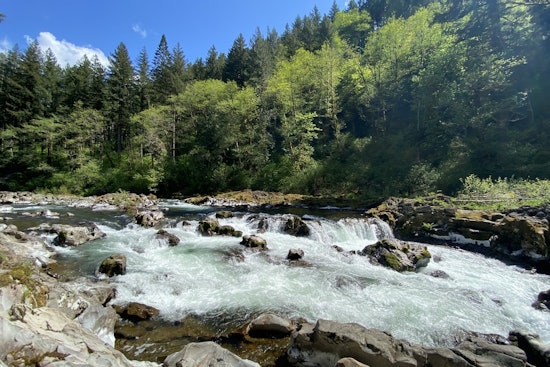 Clark County Seeks Volunteer Park Host for Moulton Falls Regional Park in Yacolt
