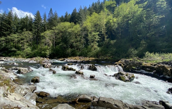 Clark County Seeks Volunteer Park Host for Moulton Falls Regional Park in Yacolt