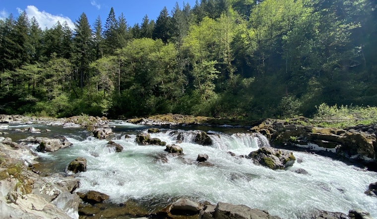 Clark County Seeks Volunteer Park Host for Moulton Falls Regional Park in Yacolt