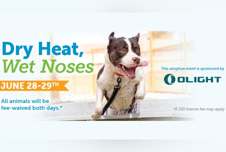 Clark County's Animal Foundation Hosts "Dry Heat, Wet Noses!" Free Adoption Event Amid Overflow Crisis