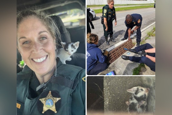 Clay County First Responders Band Together to Rescue Kitten from Storm Drain, Henley Finds Home with Sergeant