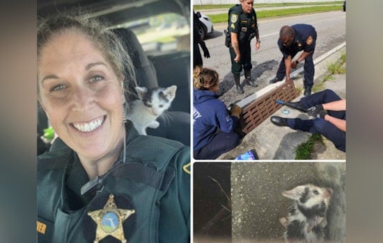 Clay County First Responders Band Together to Rescue Kitten from Storm Drain, Henley Finds Home with Sergeant