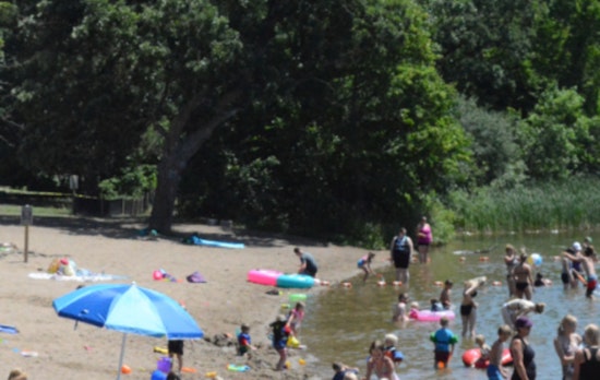 Collinwood Regional Park Beach Closure Amid Bacteria Concerns, No Swimming Until Further Notice