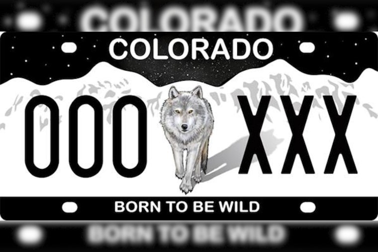 Colorado Parks and Wildlife Allocates $50,000 to Promote 'Born to Be Wild' License Plate for Wildlife Conflict Mitigation