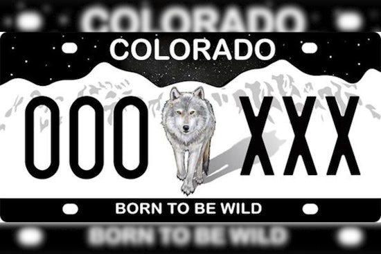Colorado Parks and Wildlife Allocates $50,000 to Promote 'Born to Be Wild' License Plate for Wildlife Conflict Mitigation