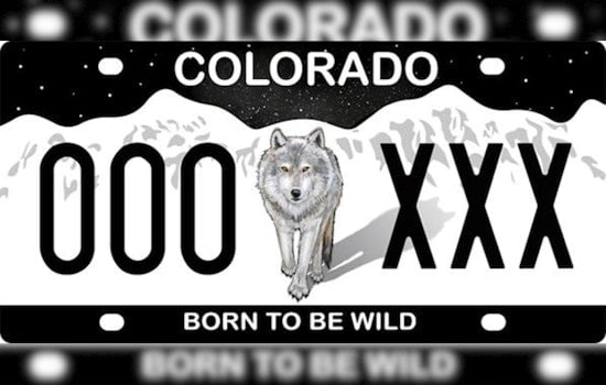 Colorado Parks and Wildlife Allocates $50,000 to Promote 'Born to Be Wild' License Plate for Wildlife Conflict Mitigation