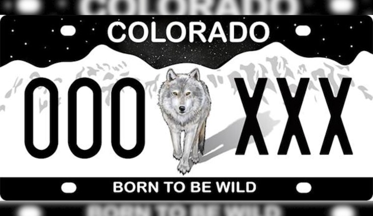 Colorado Parks and Wildlife Allocates $50,000 to Promote 'Born to Be Wild' License Plate for Wildlife Conflict Mitigation