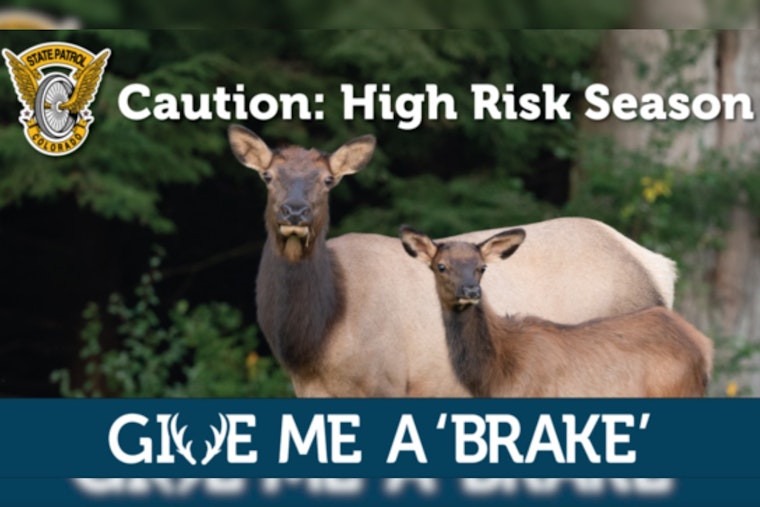 Colorado State Patrol Launches 'Give Me a 'Brake'' Campaign to Reduce Wildlife-Related Crashes