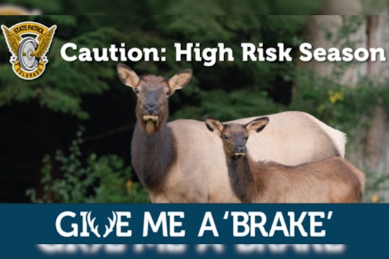 Colorado State Patrol Launches 'Give Me a 'Brake'' Campaign to Reduce Wildlife-Related Crashes