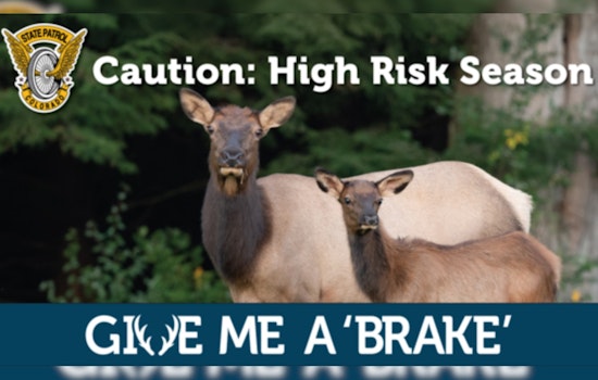 Colorado State Patrol Launches 'Give Me a 'Brake'' Campaign to Reduce Wildlife-Related Crashes