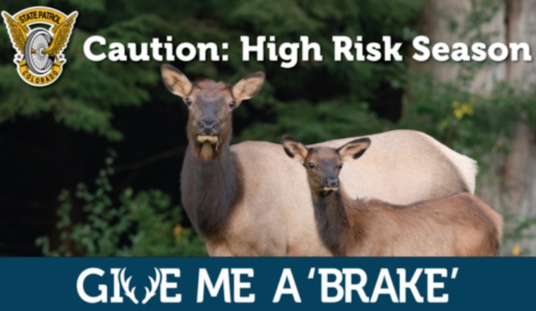 Colorado State Patrol Launches 'Give Me a 'Brake'' Campaign to Reduce Wildlife-Related Crashes
