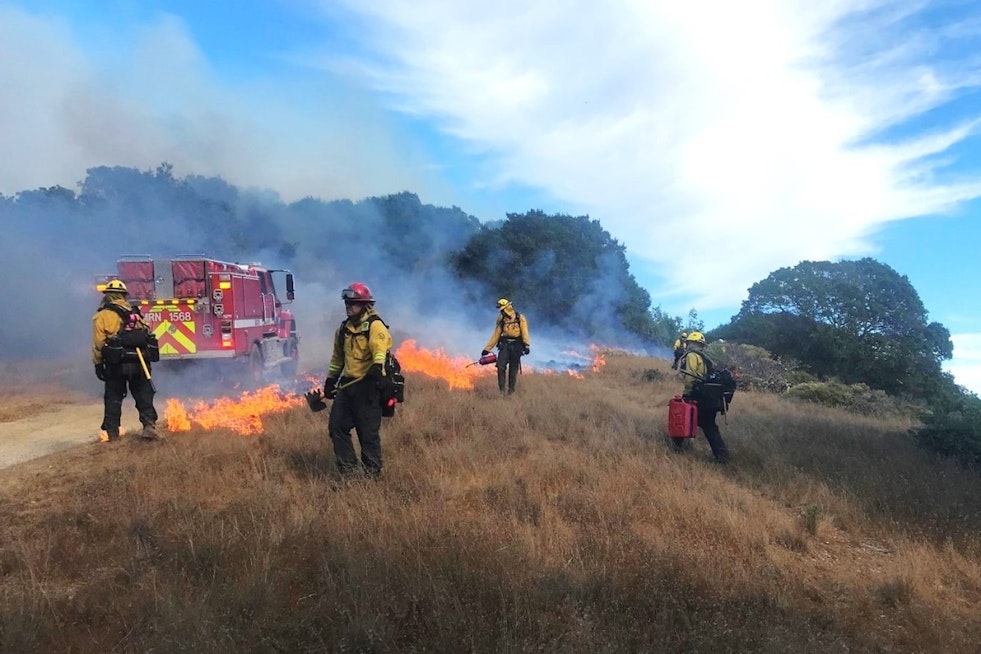 Controlled Burn Scheduled at Mount Tamalpais State Park to Mitigate Wildfire Risk