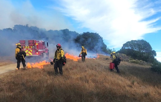 Controlled Burn Scheduled at Mount Tamalpais State Park to Mitigate Wildfire Risk