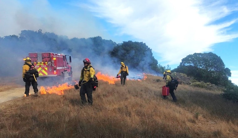 Controlled Burn Scheduled at Mount Tamalpais State Park to Mitigate Wildfire Risk