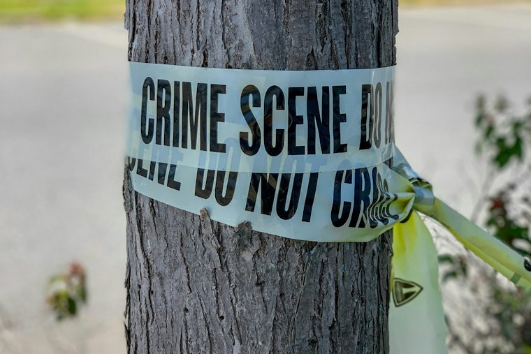 Cottontown Teen Accused of Stabbing Father After Dog Shot for Killing Chickens