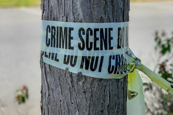 Cottontown Teen Accused of Stabbing Father After Dog Shot for Killing Chickens