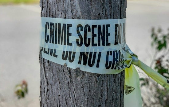 Cottontown Teen Accused of Stabbing Father After Dog Shot for Killing Chickens