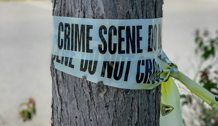 Cottontown Teen Accused of Stabbing Father After Dog Shot for Killing Chickens