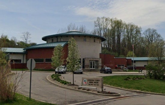 Cuyahoga County Animal Shelter Hosts 9th Annual Adoptapalooza with Special $20 Adoption Fees