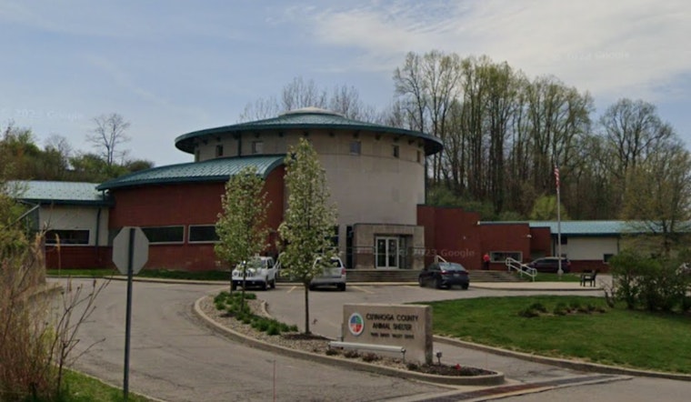 Cuyahoga County Animal Shelter Hosts 9th Annual Adoptapalooza with Special $20 Adoption Fees