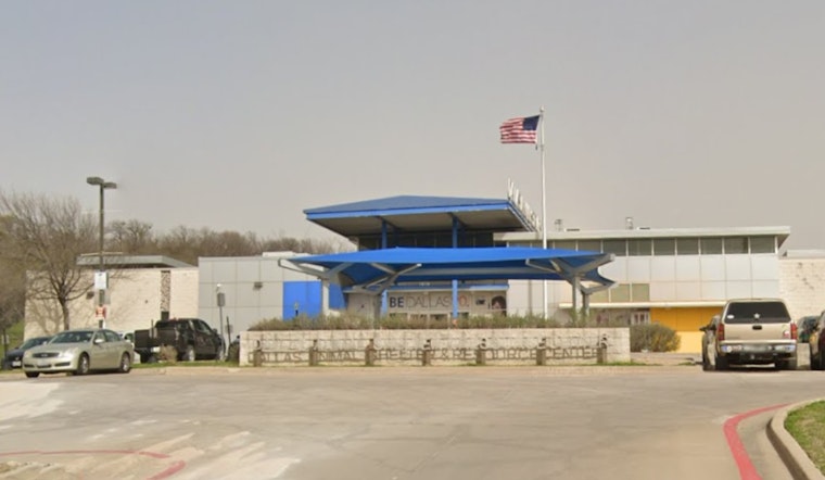 Dallas Animal Services Invites Volunteers to Comfort Shelter Dogs During Independence Day Fireworks