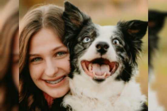 Dallas Boosts Animal Welfare With Open Adoptions and Enhanced Foster Care Support