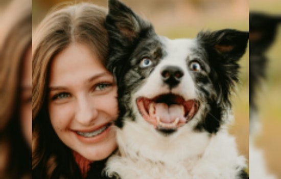 Dallas Boosts Animal Welfare With Open Adoptions and Enhanced Foster Care Support