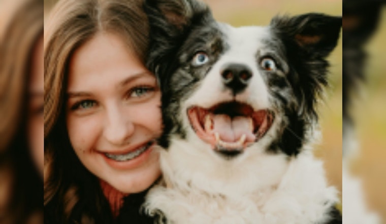 Dallas Boosts Animal Welfare With Open Adoptions and Enhanced Foster Care Support