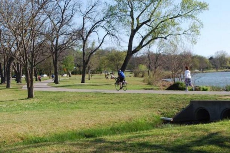 Dallas Park and Recreation Battles Toxic Water Hemlock at White Rock Lake