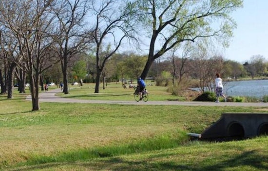 Dallas Park and Recreation Battles Toxic Water Hemlock at White Rock Lake
