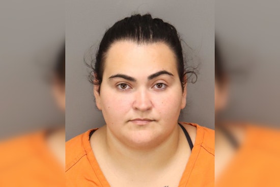 Daughter Charged with Attempted First Degree Murder of Father in Pinellas County Family Dispute