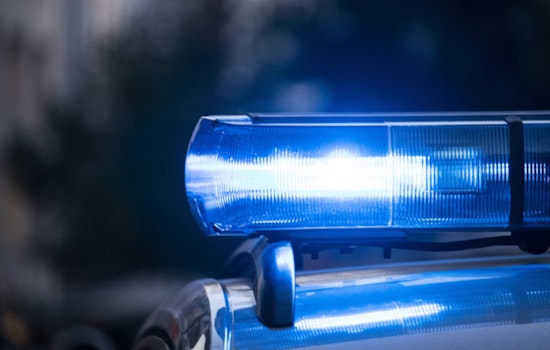 Des Plaines Woman, 49, Killed in Late-Night Collision with Semi Truck on Algonquin Road